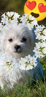 Cute white puppy with flowers and emoji in grass.