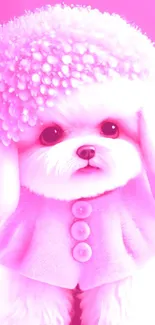 Fluffy white puppy in a pink outfit with matching hat.