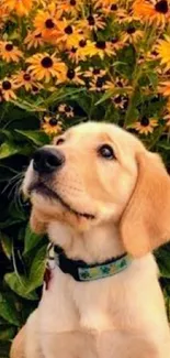 Adorable puppy in sunflower field wallpaper.