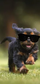 Adorable puppy in sunglasses running on grass, perfect for mobile wallpaper.