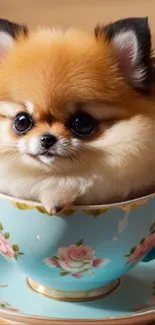 Cute fluffy puppy sitting inside a teacup.