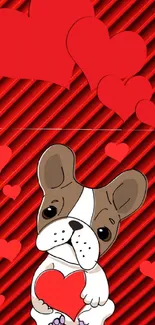 Cute puppy with red hearts on a vibrant red background.