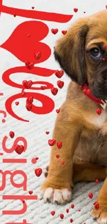 Cute puppy with 'Love at First Sight' text on a cozy carpet.