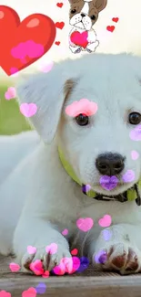 Adorable puppy with heart animation on wooden deck.