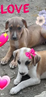 Two puppies with colorful emojis and flowers on the ground.