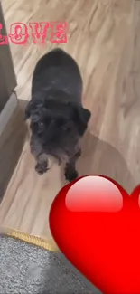 Cute puppy on a wooden floor with a red heart and love text.