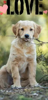 Adorable golden retriever puppy with a stick in a nature setting and 'LOVE' text.