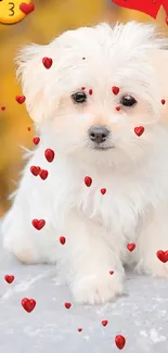 Cute fluffy puppy with heart emojis sits on a stone background.