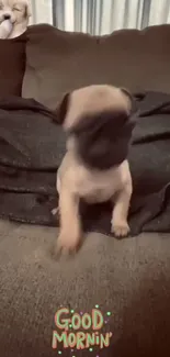 Cute puppy sitting on a brown couch with morning greeting design.