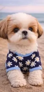 Cute puppy in floral shirt on sandy beach.