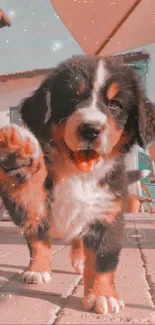 Adorable puppy raising paw in outdoor setting wallpaper.