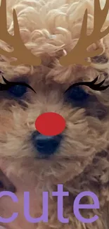 Adorable puppy with reindeer antlers and a red nose, perfect for phone wallpaper.