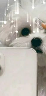 Adorable white puppy takes a selfie with a phone and butterfly decor.