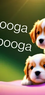 Cute puppies on a colorful background with text, perfect for wallpaper.