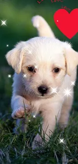 Adorable puppy running with a heart graphic on grass.