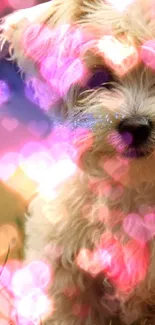 Adorable puppy with heart bokeh background.