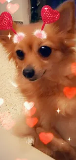 Adorable puppy with red heart effects on wallpaper.