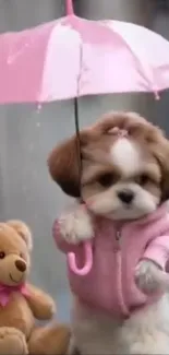 Cute puppy in pink hoodie with umbrella and teddy bear.