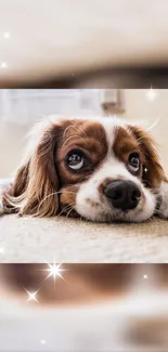 Adorable puppy with sparkling effect on carpet.