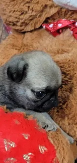 Adorable puppy snuggles with teddy bear on a cozy background.