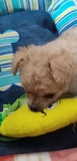 Puppy playing with a yellow toy on a colorful cushion.