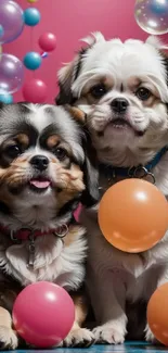 Adorable puppies with colorful bubbles and balloons in a playful setting.