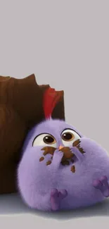 Cute purple bird eating chocolate, set on a light gray background.