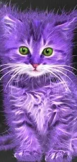 Purple kitten with green eyes on black background.