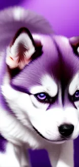 Cute purple Husky puppy with vibrant colors on wallpaper.