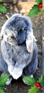 Adorable gray rabbit with holly, perfect for Christmas wallpaper.