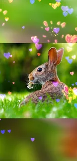 Cute rabbit in green grass with colorful heart overlay.