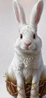 Adorable white rabbit sitting in a basket with a soft background.