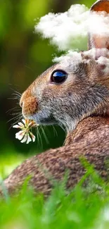 A cute rabbit holding a flower in a lush green field, perfect for a phone wallpaper.