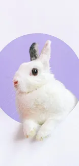 Adorable white rabbit in a lavender circle on phone wallpaper.