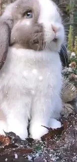 Adorable rabbit in a frosty winter garden setting, surrounded by leaves.