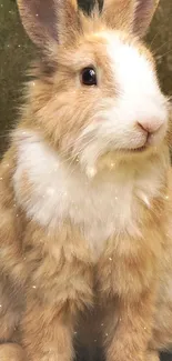 Adorable fluffy rabbit in a serene setting.