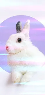 Adorable rabbit in purple pastel background.