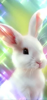 Charming pastel colored rabbit mobile wallpaper with soft hues and a cute bunny.