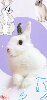 Adorable white rabbit with purple backdrop and playful illustrations.