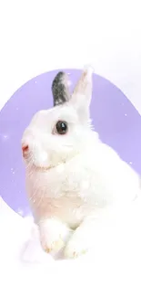 Cute white rabbit with a light purple background aura.