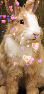 Cute rabbit with colorful heart overlays on a natural background.