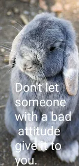 Gray bunny with an inspiring quote on a natural background.