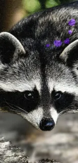 A cute raccoon with purple dots on a nature-themed background.