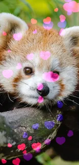 Cute red panda resting on a tree branch in a forest setting.