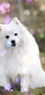 Fluffy Samoyed surrounded by neon glowing stars on a mobile wallpaper.