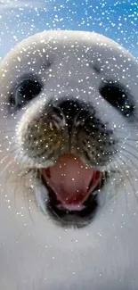 Adorable seal pup in snowy setting, perfect wallpaper.