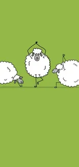 Cartoon sheep dancing on a green background.