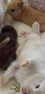 Three sleeping bunnies on a floral pillow.