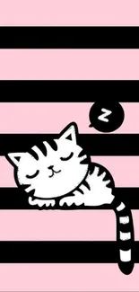 Sleeping cat on pink striped wallpaper.