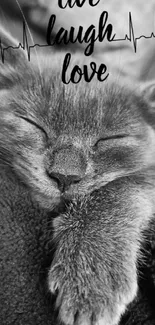 Sleeping cat with 'Live, Laugh, Love' text in black and white.